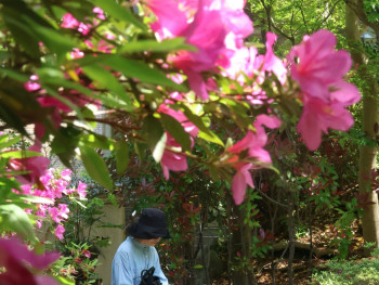 Traveler resting peacefully in traditional Japanese garden setting Photo by Yanhao Fang on Unsplash Traveler resting peacefully in traditional Japanese garden setting Photo by Yanhao Fang on Unsplash