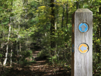 A traditional Japanese hiking trail marker post with multiple wooden signs pointing to different places Image by Dan Keck from Pixabay A traditional Japanese hiking trail marker post with multiple wooden signs pointing to different places Image by Dan Keck from Pixabay