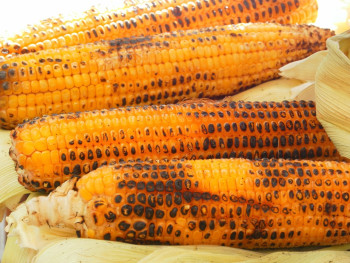 Grilled corn vendor brushing sauce. Image by LaCamila from Pixabay