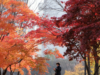 Beautiful autumn colors in urban park setting with few visitors and natural lighting Photo by Doyle Shin on Unsplash Beautiful autumn colors in urban park setting with few visitors and natural lighting Photo by Doyle Shin on Unsplash