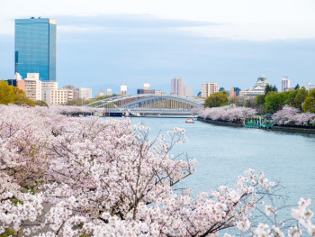 Picture of Osaka City during the day Picture of Osaka City during the day