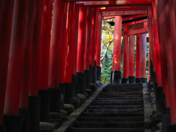 Travelers climbing through endless red torii gates at Fushimi Inari shrine with mountain views Photo by Ivanna Vinnicsuk on Unsplash Travelers climbing through endless red torii gates at Fushimi Inari shrine with mountain views Photo by Ivanna Vinnicsuk on Unsplash
