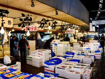 Vendor arranging fresh seafood at dawn in Kuromon Ichiba Market Photo by AXP Photography on Unsplash Vendor arranging fresh seafood at dawn in Kuromon Ichiba Market Photo by AXP Photography on Unsplash