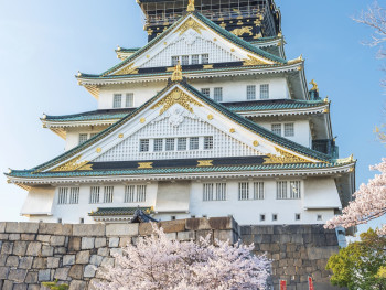 Visitors walking through Osaka Castle gardens with cherry blossoms. Visitors walking through Osaka Castle gardens with cherry blossoms.