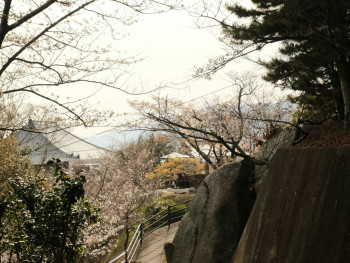 View of Osaka Castle from below, with a walking path in foreground Photo by Ciya on Unsplash View of Osaka Castle from below, with a walking path in foreground Photo by Ciya on Unsplash