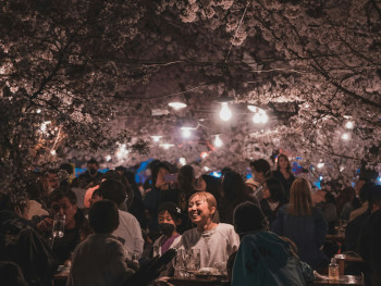 Evening hanami scene with illuminated cherry blossoms and food stalls Photo by Zhaoli JIN on Unsplash Evening hanami scene with illuminated cherry blossoms and food stalls Photo by Zhaoli JIN on Unsplash