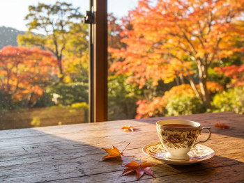 A cup of tea on a wooden table near a window with autumn garden view. A cup of tea on a wooden table near a window with autumn garden view.