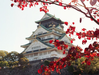 Fallen autumn leaves scattered across the castle grounds with visitors in the background. Photo by Benjamin Dillon on Unsplash Fallen autumn leaves scattered across the castle grounds with visitors in the background. Photo by Benjamin Dillon on Unsplash