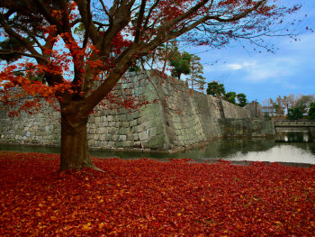 Fallen autumn leaves scattered across the castle grounds with visitors in the background. Photo by Bo Zhang on Unsplash Fallen autumn leaves scattered across the castle grounds with visitors in the background. Photo by Bo Zhang on Unsplash