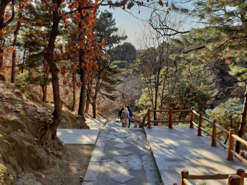 A narrow hiking trail through Minoo Park with golden ginkgo leaves carpeting the path and filtered sunlight creating dappled patterns Photo by Wong Kah Kit on Unsplash A narrow hiking trail through Minoo Park with golden ginkgo leaves carpeting the path and filtered sunlight creating dappled patterns Photo by Wong Kah Kit on Unsplash