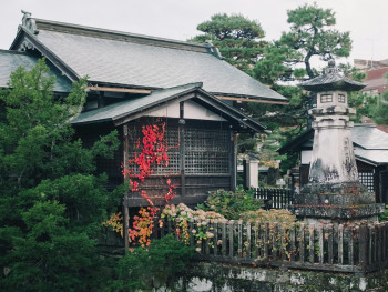 A traditional stone lantern in a Japan garden with fallen autumn leaves scattered around its base Photo by Leeloo The First on pexels A traditional stone lantern in a Japan garden with fallen autumn leaves scattered around its base Photo by Leeloo The First on pexels