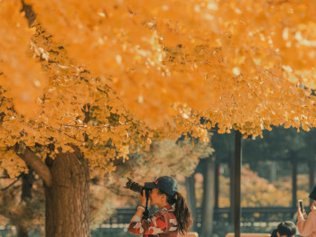 A small group of people sharing tea outdoors in a park setting with autumn foliage creating a colorful backdrop Photo by Cajeo Zhang on Unsplash A small group of people sharing tea outdoors in a park setting with autumn foliage creating a colorful backdrop Photo by Cajeo Zhang on Unsplash