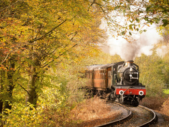A traditional train car traveling through countryside landscapes brilliant with autumn foliage, taken from inside the train looking out at the passing scenery. Photo by Sugden Guy sugden on Unsplash A traditional train car traveling through countryside landscapes brilliant with autumn foliage, taken from inside the train looking out at the passing scenery. Photo by Sugden Guy sugden on Unsplash