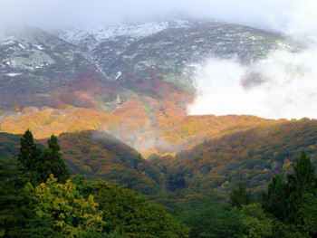 A mountain valley view showing autumn colors at different elevations, with early snow caps visible on distant peaks and colorful foliage in the foreground Photo by Seiya Maeda on Unsplash A mountain valley view showing autumn colors at different elevations, with early snow caps visible on distant peaks and colorful foliage in the foreground Photo by Seiya Maeda on Unsplash