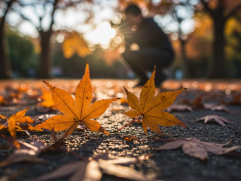 A photographer crouched low capturing close-up details of autumn leaves with soft natural lighting, demonstrating thoughtful composition techniques A photographer crouched low capturing close-up details of autumn leaves with soft natural lighting, demonstrating thoughtful composition techniques