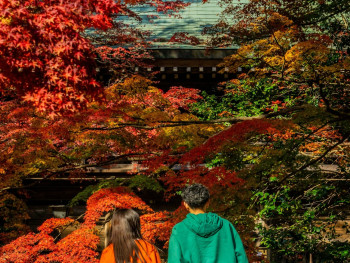 A respectful distance shot of photographers maintaining appropriate boundaries while capturing autumn scenes near a temple area Photo by Tantan Wiguna on Unsplash A respectful distance shot of photographers maintaining appropriate boundaries while capturing autumn scenes near a temple area Photo by Tantan Wiguna on Unsplash