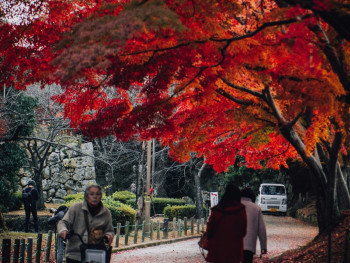 An early morning scene in residential Osaka with elderly residents going about their daily routines among autumn-decorated streets Photo by Sam Veyre on Unsplash An early morning scene in residential Osaka with elderly residents going about their daily routines among autumn-decorated streets Photo by Sam Veyre on Unsplash