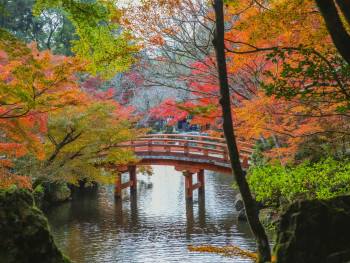 Traditional weather observation tools or markers in an autumn setting, showing connection between nature and weather prediction. Photo by Ryutaro Tsukata on pexels Traditional weather observation tools or markers in an autumn setting, showing connection between nature and weather prediction. Photo by Ryutaro Tsukata on pexels