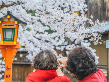 Local residents and visitors discussing weather patterns and seasonal changes in an Osaka park setting. Photo by Roméo A. on Unsplash Local residents and visitors discussing weather patterns and seasonal changes in an Osaka park setting. Photo by Roméo A. on Unsplash
