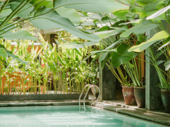 Indoor pool area with tropical theme and water features Photo by Ardi Evans on Unsplash Indoor pool area with tropical theme and water features Photo by Ardi Evans on Unsplash
