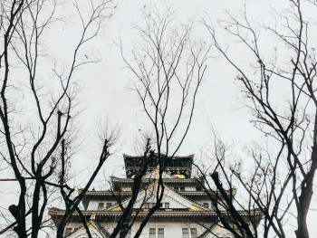 Osaka Castle surrounded by bare trees with dramatic winter clouds in the background. Photo by Andrew Wolff on Unsplash Osaka Castle surrounded by bare trees with dramatic winter clouds in the background. Photo by Andrew Wolff on Unsplash