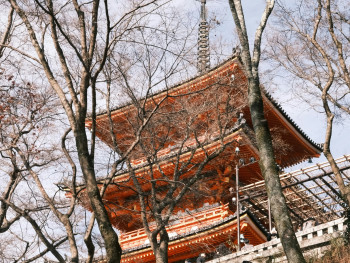 The ancient pagoda of Shitennoji Temple surrounded by bare winter trees, emphasizing its historical significance Photo by Marin huang on Unsplash The ancient pagoda of Shitennoji Temple surrounded by bare winter trees, emphasizing its historical significance Photo by Marin huang on Unsplash