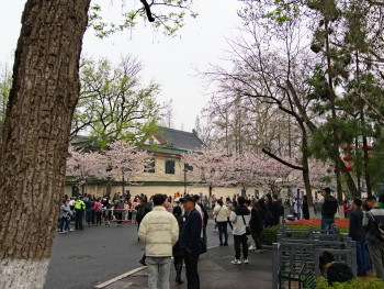 A small plum blossom festival in a local Osaka park, with community members setting up traditional displays and food stalls Photo by Bo Peng on Unsplash A small plum blossom festival in a local Osaka park, with community members setting up traditional displays and food stalls Photo by Bo Peng on Unsplash