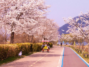 Park near Osaka Bay during cherry blossom season. Photo by Taewoo Kim on Unsplash Park near Osaka Bay during cherry blossom season. Photo by Taewoo Kim on Unsplash