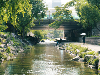 Quiet river path 30 minutes from Osaka center Photo by Ben Kim on Unsplash