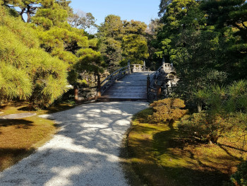 Quiet temple garden in Kyoto on a weekday. Photo by Andrei Daniel Petrica on Unsplash