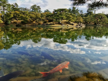 Traditional Japanese garden and temple architecture accessible via day trip from Osaka. Traditional Japanese garden and temple architecture accessible via day trip from Osaka.