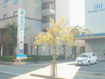 Street-facing hotel sign near Namba Station. Photo by Mak on Unsplash Street-facing hotel sign near Namba Station. Photo by Mak on Unsplash