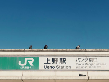 JR line signage Photo by Nakaharu Line on Unsplash JR line signage Photo by Nakaharu Line on Unsplash