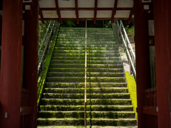 Moss temple steps Photo by Kouji Tsuru on Unsplash Moss temple steps Photo by Kouji Tsuru on Unsplash
