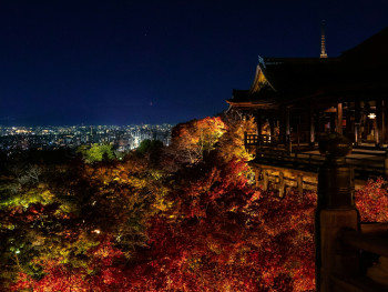 Evening view at Kiyomizu-dera Photo by YANGHONG YU on Unsplash Evening view at Kiyomizu-dera Photo by YANGHONG YU on Unsplash