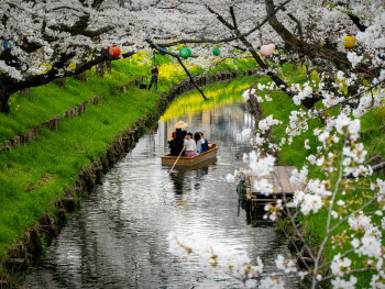 Blossoms over canal on Philosopher's Path Photo by Lucius Hunter on Unsplash Blossoms over canal on Philosopher's Path Photo by Lucius Hunter on Unsplash