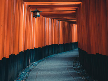 Vermillion torii gates creating tunnels up Mount Inari Photo by Willian Justen de Vasconcellos on pexels Vermillion torii gates creating tunnels up Mount Inari Photo by Willian Justen de Vasconcellos on pexels
