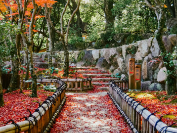 A hidden pathway covered in fall colors leading to a small temple Photo by Juliana Barquero on Unsplash A hidden pathway covered in fall colors leading to a small temple Photo by Juliana Barquero on Unsplash