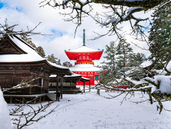 Snow-covered temple garden showing winter structural beauty Photo by Samuel Berner on Unsplash Snow-covered temple garden showing winter structural beauty Photo by Samuel Berner on Unsplash