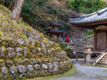 A peaceful morning scene at a lesser-known temple with cherry blossoms and no crowds. A peaceful morning scene at a lesser-known temple with cherry blossoms and no crowds.