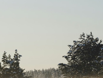 Morning mist rising from snow-covered temple gardens with soft golden light filtering through bare maple branches Photo by Dasha Samusenko on Unsplash Morning mist rising from snow-covered temple gardens with soft golden light filtering through bare maple branches Photo by Dasha Samusenko on Unsplash