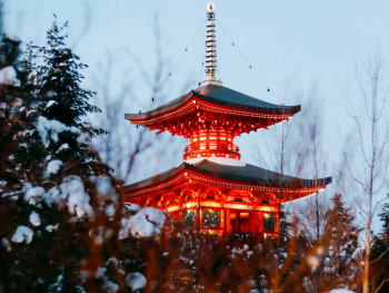 Traditional temple buildings outlined in soft golden lights with snow-covered pine trees in the foreground Photo by Greg Kubrak on Unsplash Traditional temple buildings outlined in soft golden lights with snow-covered pine trees in the foreground Photo by Greg Kubrak on Unsplash