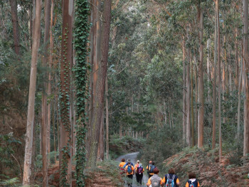 A family hiking the mountain path to Monkey Park Iwatayama through forest Photo by Gustavo Gutiérrez Lobato on Unsplash A family hiking the mountain path to Monkey Park Iwatayama through forest Photo by Gustavo Gutiérrez Lobato on Unsplash