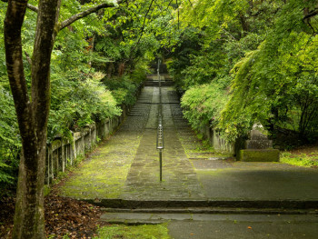 Moss temple garden after rain Photo by Kouji Tsuru on Unsplash Moss temple garden after rain Photo by Kouji Tsuru on Unsplash