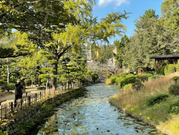 Nijo Castle gardens in spring. Photo by shota James on Unsplash Nijo Castle gardens in spring. Photo by shota James on Unsplash
