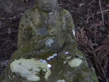 Moss-covered Buddha statues in silence.Photo by jessica rigollot on Unsplash Moss-covered Buddha statues in silence.Photo by jessica rigollot on Unsplash