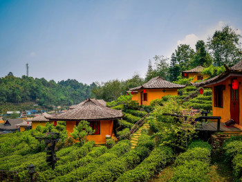 Rolling hills covered in tea plants with traditional buildings in the distance. Photo by Nopparuj Lamaikul on Unsplash Rolling hills covered in tea plants with traditional buildings in the distance. Photo by Nopparuj Lamaikul on Unsplash