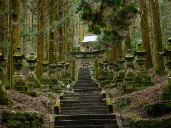 Ancient wooden temple stairs disappearing into forest. Photo by Kouji Tsuru on Unsplash Ancient wooden temple stairs disappearing into forest. Photo by Kouji Tsuru on Unsplash