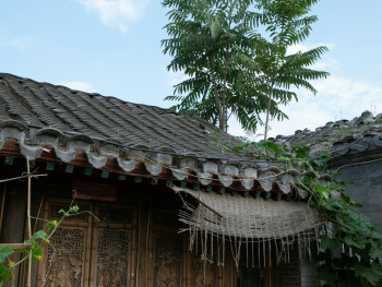 Traditional ochaya (tea house) exterior with wooden lattice work Photo by ran liwen on Unsplash Traditional ochaya (tea house) exterior with wooden lattice work Photo by ran liwen on Unsplash