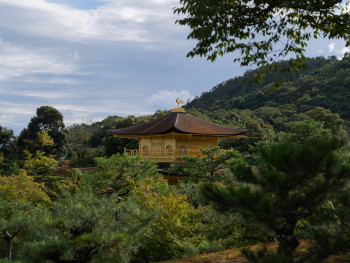 Traditional Japanese garden with distant mountains visible Photo by Fynn Geerdsen on Unsplash Traditional Japanese garden with distant mountains visible Photo by Fynn Geerdsen on Unsplash